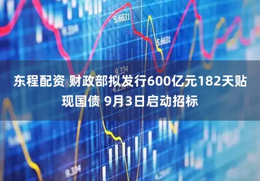 东程配资 财政部拟发行600亿元182天贴现国债 9月3日启动招标